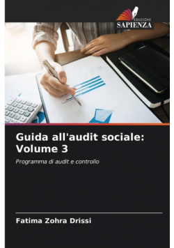 Guida all'audit sociale