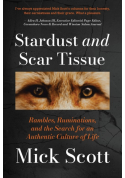 Stardust and Scar Tissue