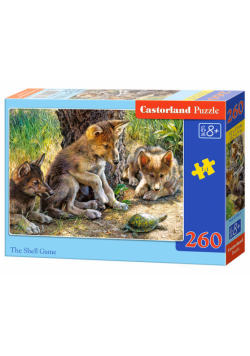 Puzzle The Shell Game 260