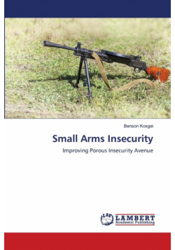 Small Arms Insecurity