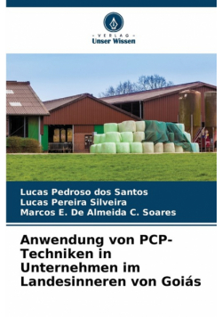 Anwendung von PCP-Techniken in Unternehmen im Landesinneren von Goiás