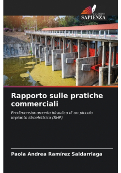 Rapporto sulle pratiche commerciali