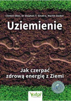 Jak czerpać zdrową energię z ziemi. Uziemienie