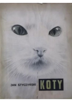 Koty
