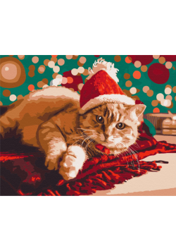 Malowanie po numerach Santa kot