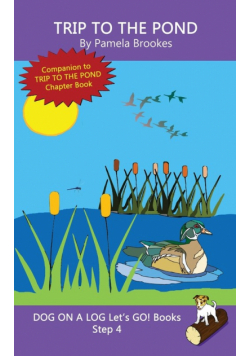 Trip To The Pond