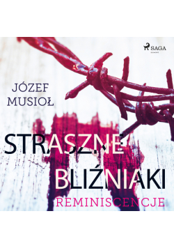 Straszne Bliźniaki. Reminiscencje