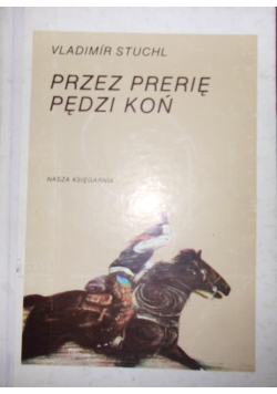Przez prerię pędzi koń
