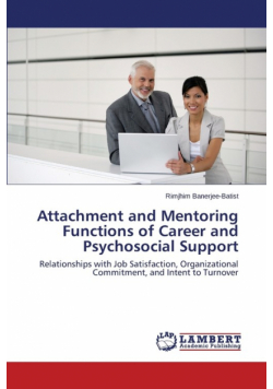 Attachment and Mentoring Functions of Career and Psychosocial Support
