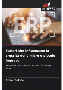 Fattori che influenzano la crescita delle micro e piccole imprese