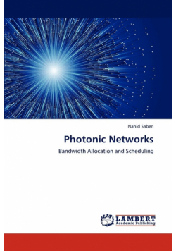 Photonic Networks
