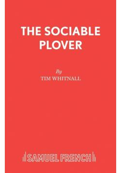 The Sociable Plover
