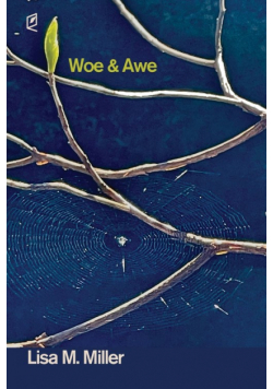 Woe & Awe