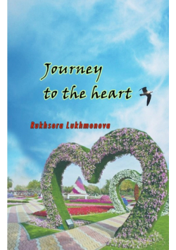 Journey to the heart
