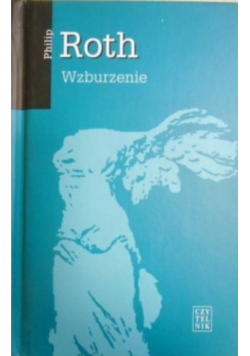 Wzburzenie