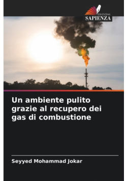Un ambiente pulito grazie al recupero dei gas di combustione