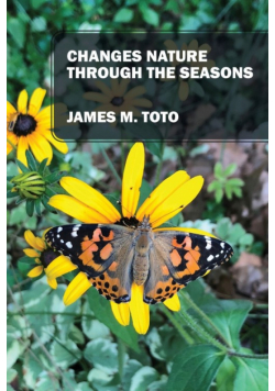Changes Nature Through the Seasons