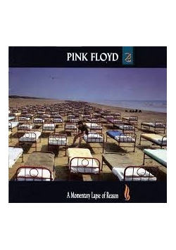 A Momentary Lapse Of Reason, płyta CD