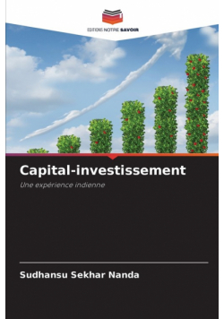 Capital-investissement