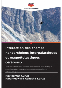 Interaction des champs nanoarchéens intergalactiques et magnétotactiques cérébraux