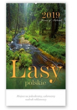 Kalendarz 2019 Reklamowy Lasy Polskie RW3