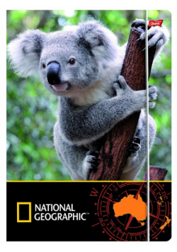 Teczka z gumką A4 National Geographic