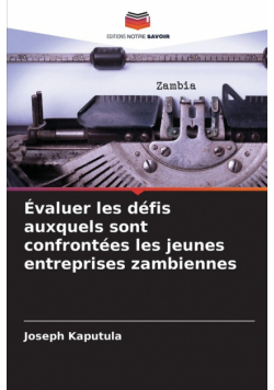 Évaluer les défis auxquels sont confrontées les jeunes entreprises zambiennes