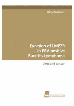 Function of Lmp2b in Ebv-Positive Burkitt's Lymphoma