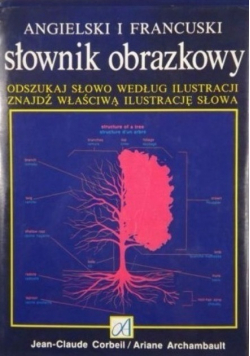Angielski i francuski słownik obrazkowy