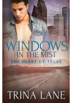 Windows in the Mist