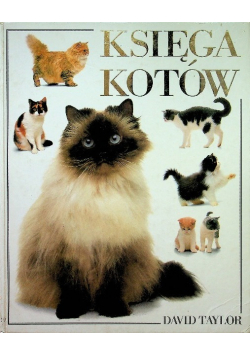 Księga kotów