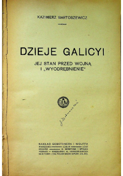 Dzieje Galicyi jej stan przed wojną i wyodrębnienie 1917 r.