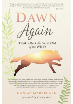 Dawn Again