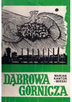 Dąbrowa górnicza