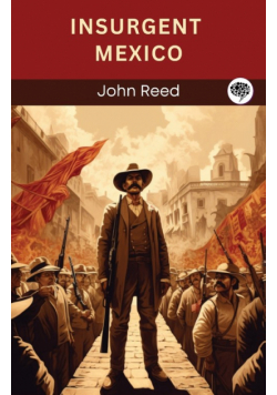 Insurgent Mexico
