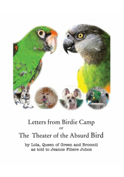 Letters from Birdie Camp