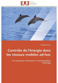 Contrôle de l'énergie dans les réseaux mobiles ad-hoc