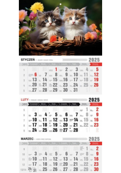 Kalendarz 2025 Trójdzielny ekonomiczny Kotki