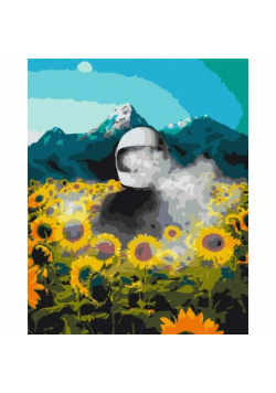 Malowanie po numerach - Kosmiczna Ziemia 40x50cm