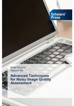 Advanced Techniques for Noisy Image Quality Assessment