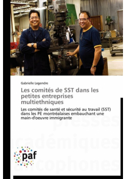 Les comités de sst dans les petites entreprises multiethniques