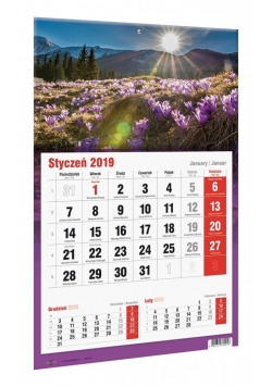 Kalendarz 2019 KTJ Jednodzielny MIX AVANTI