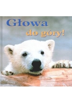 Głowa do góry !