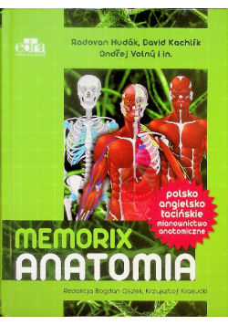 Memorix Anatomia