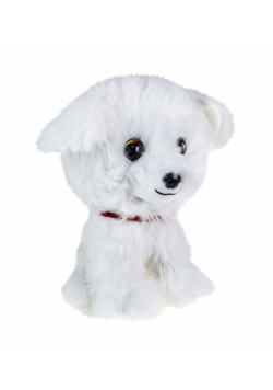 Lumo Maltese dog Rosie big
