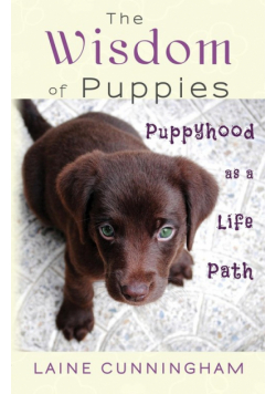 The Wisdom of Puppies