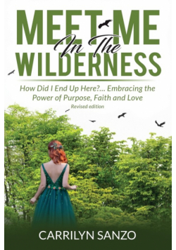 Meet Me In The Wilderness