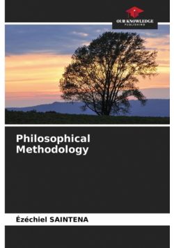 Philosophical Methodology