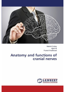 Anatomy and Functions of Cranial Nerves