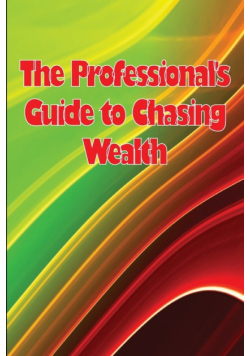 The Professional's Guide to Chasing Wealth